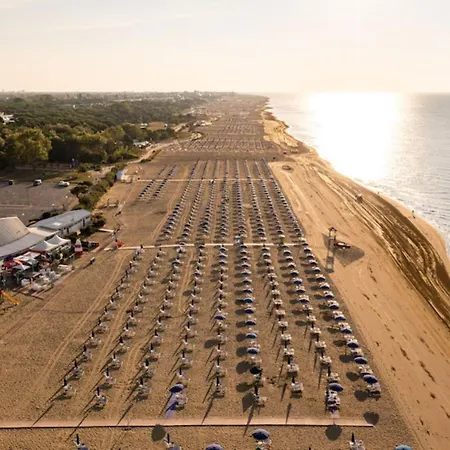 Relaxing In Apartment