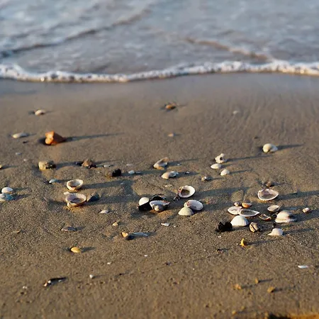 アパート Relaxing In *