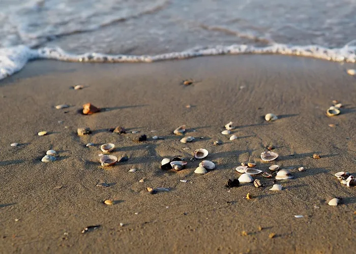 Апартаменти Relaxing In *